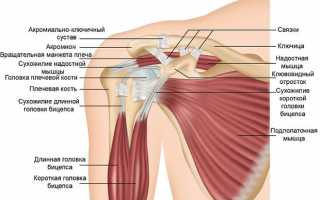 Вывих плеча – диагностика, лечение и реабилитация